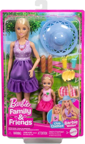 Barbie family friends picnic - friends,