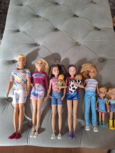 Barbie family ken 2x - barbie,